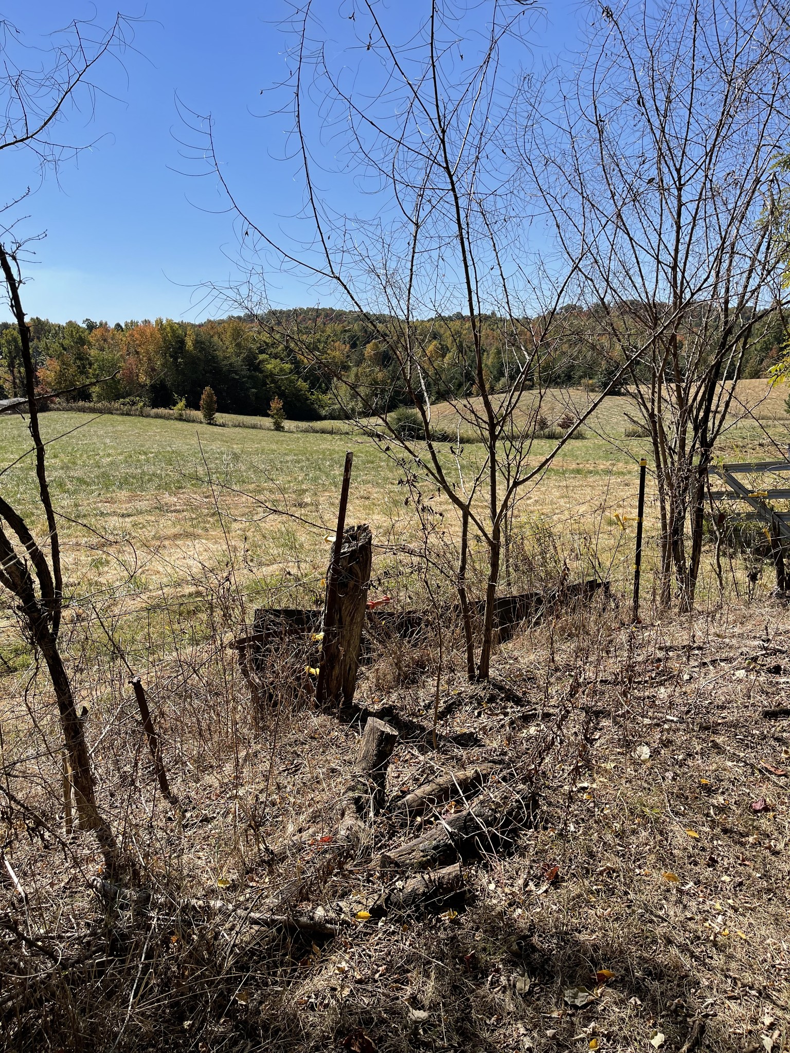 2217 Lemont And Yates Mountain Road Spencer, TN 38585 - Photo 36 of 36 a view of a backyard