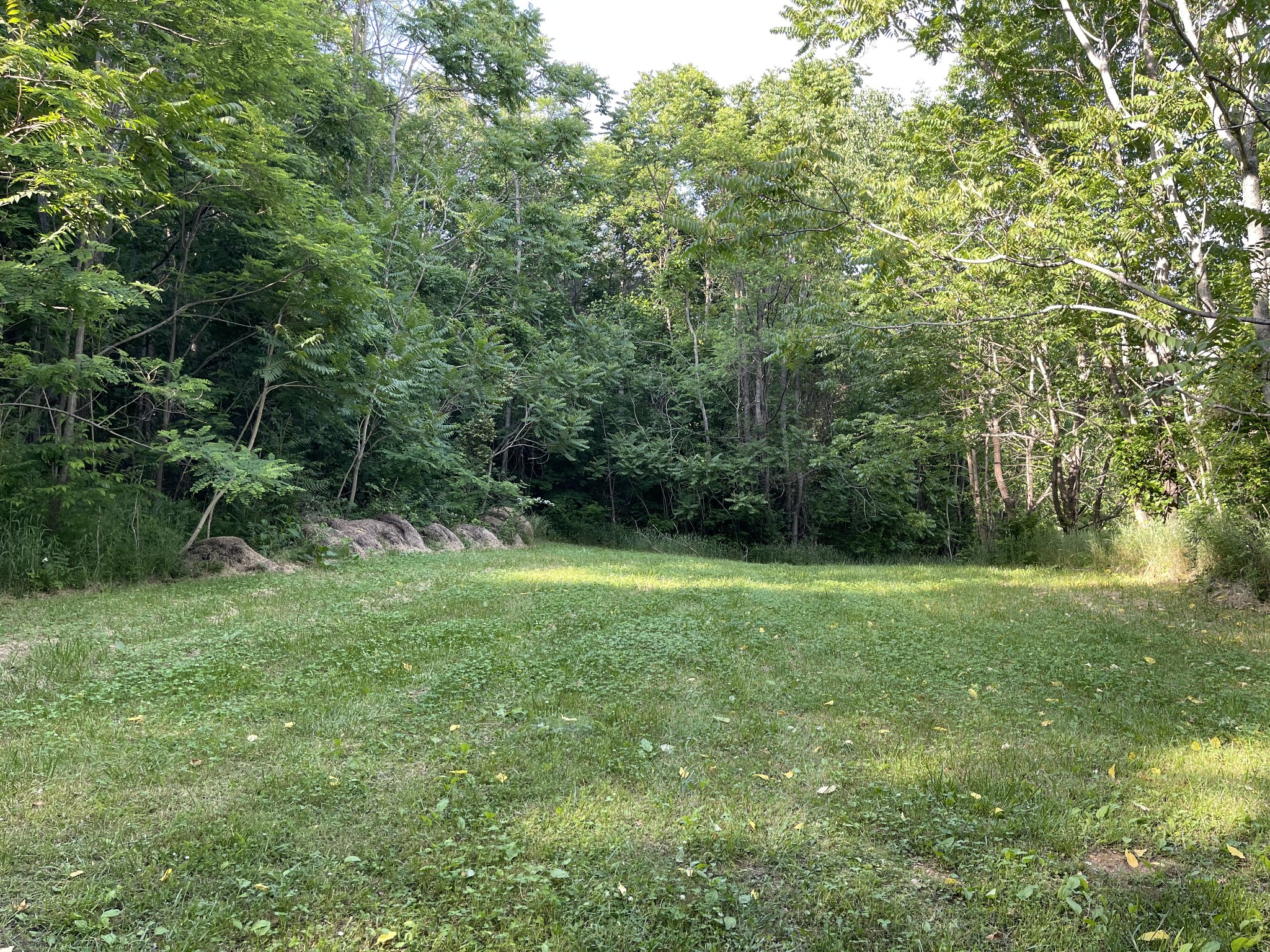 2217 Lemont And Yates Mountain Road Spencer, TN 38585 - Photo 6 of 36 a view of outdoor space and yard