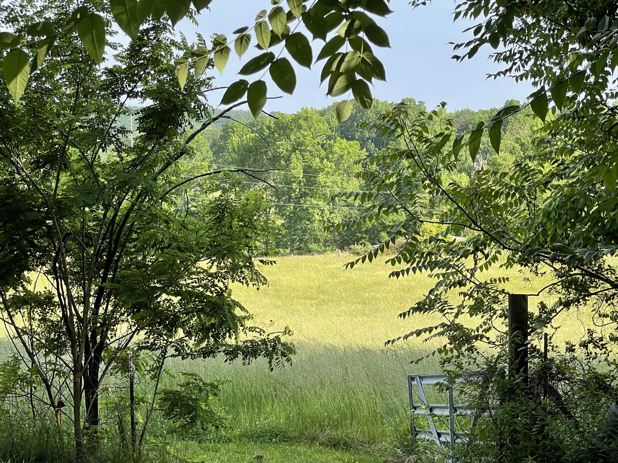 2217 Lemont And Yates Mountain Road Spencer, TN 38585 - Photo 7 of 36 a view of a garden