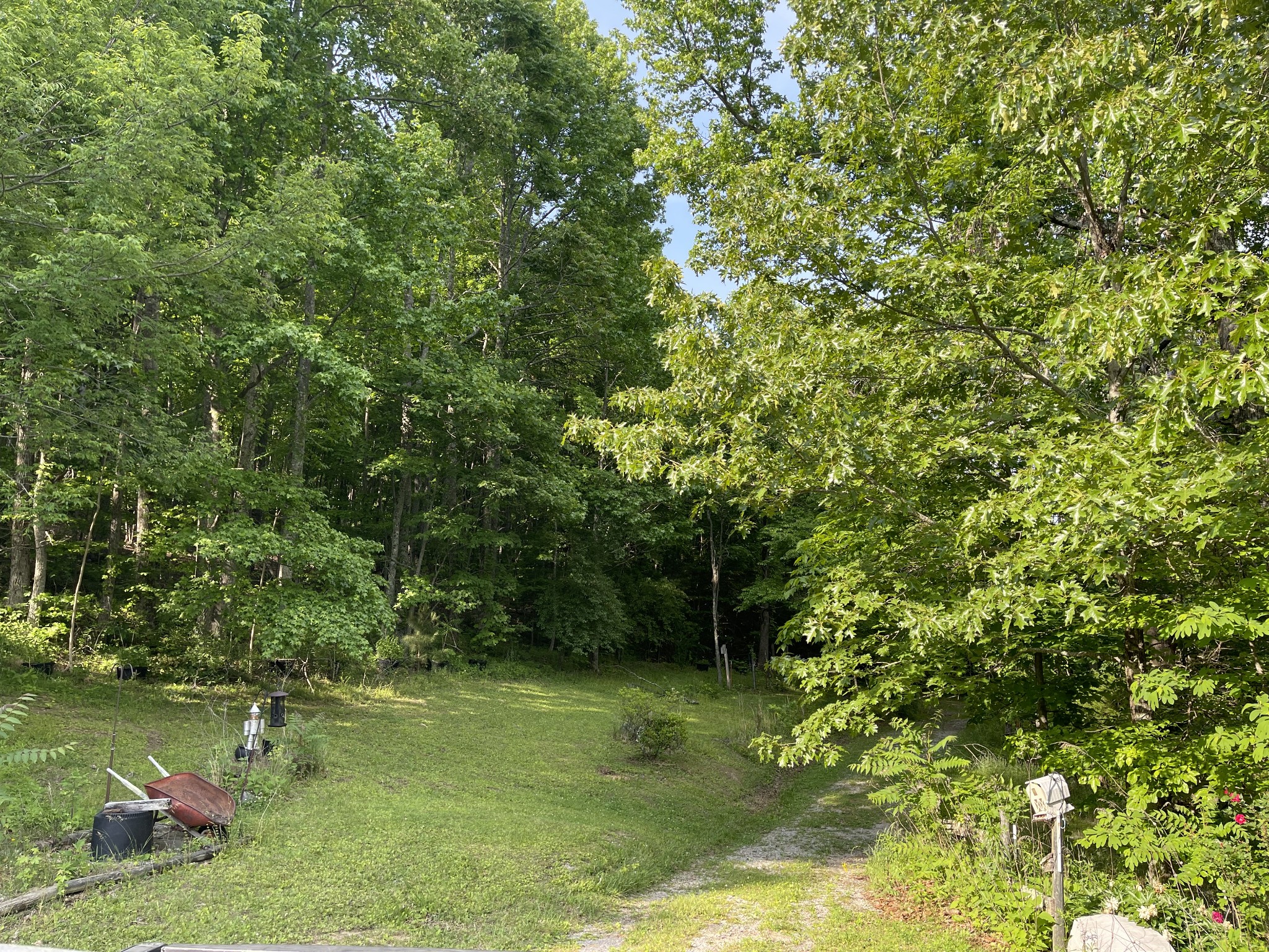 2217 Lemont And Yates Mountain Road Spencer, TN 38585 - Photo 9 of 36 a backyard of a house with lots of green space