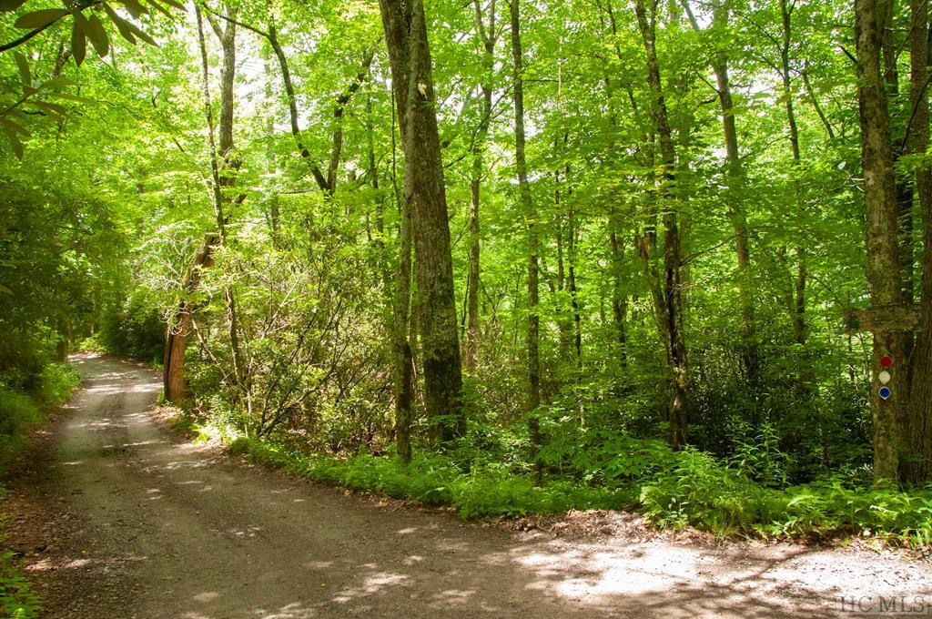Tbd Billy Cabin Road Highlands, NC 28741 - Photo 2 of 13 Gallery Image 2