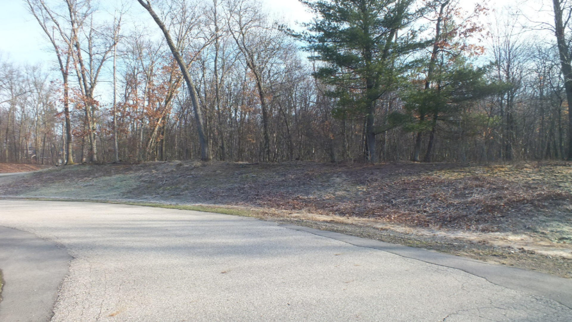 Undisclosed Address Hamilton, MI 49419 - Photo 5 of 6 Lot 20 (1)