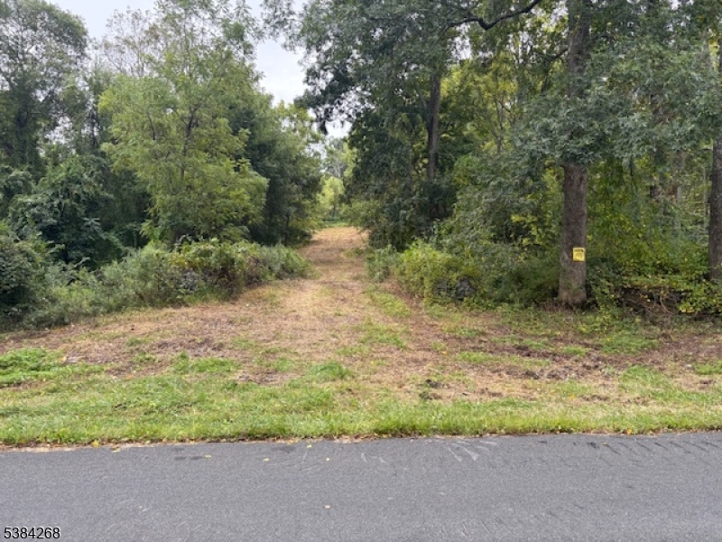 19 Swayze Mill Road Blairstown, NJ 07825 - Photo 2 of 8 a view of a yard with a tree