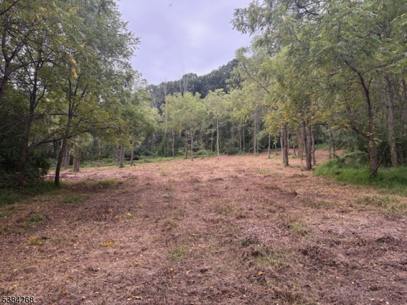 19 Swayze Mill Road Blairstown, NJ 07825 - Photo 4 of 8 a view of outdoor space with trees