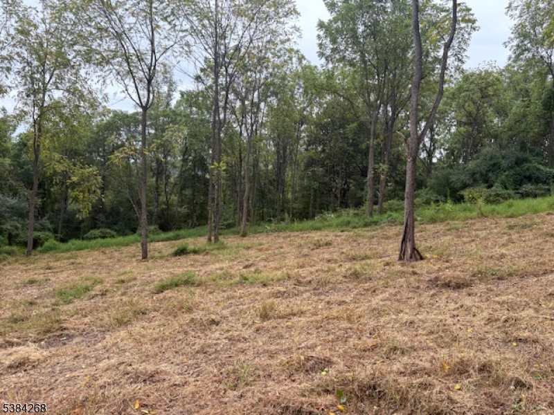 19 Swayze Mill Road Blairstown, NJ 07825 - Photo 6 of 8 a view of outdoor space with trees