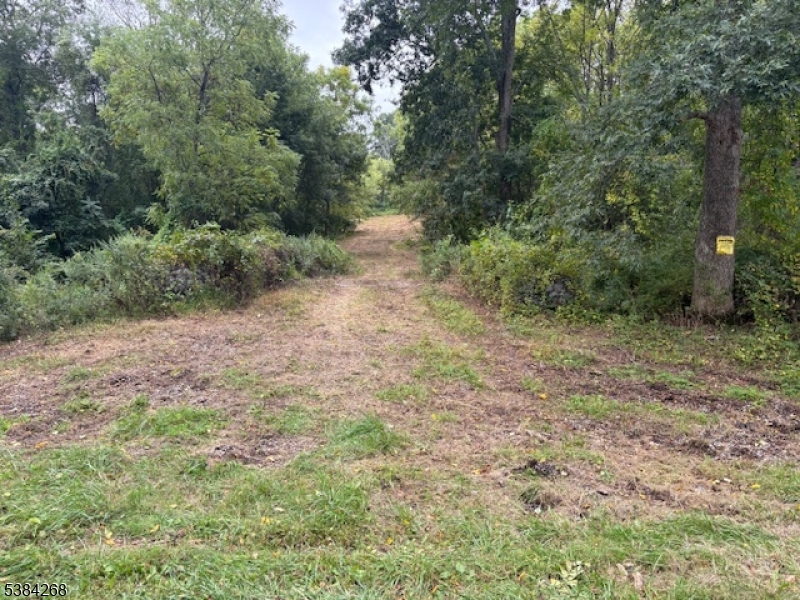 19 Swayze Mill Road Blairstown, NJ 07825 - Photo 8 of 8 a view of a dry yard with trees