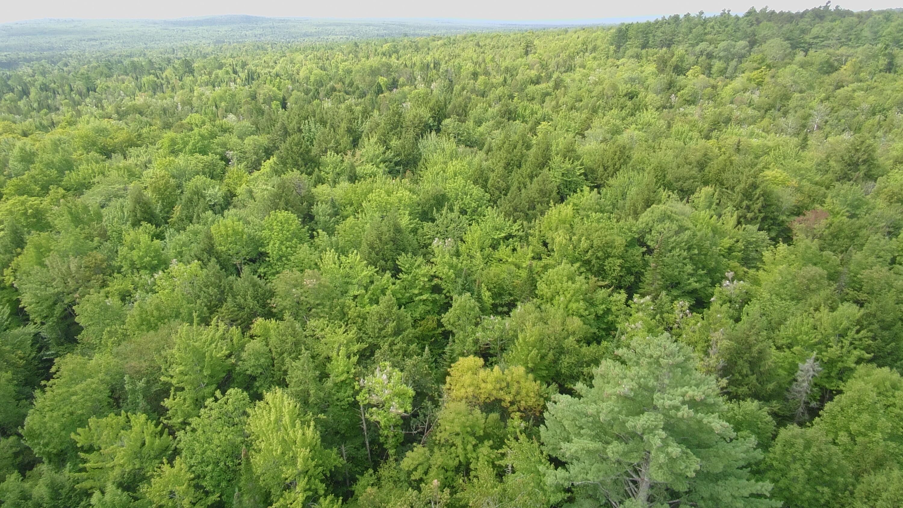 796 Silvers Mills Road Sangerville, ME 04479 - Photo 70 of 74 4583316_100DRONE_SING0255