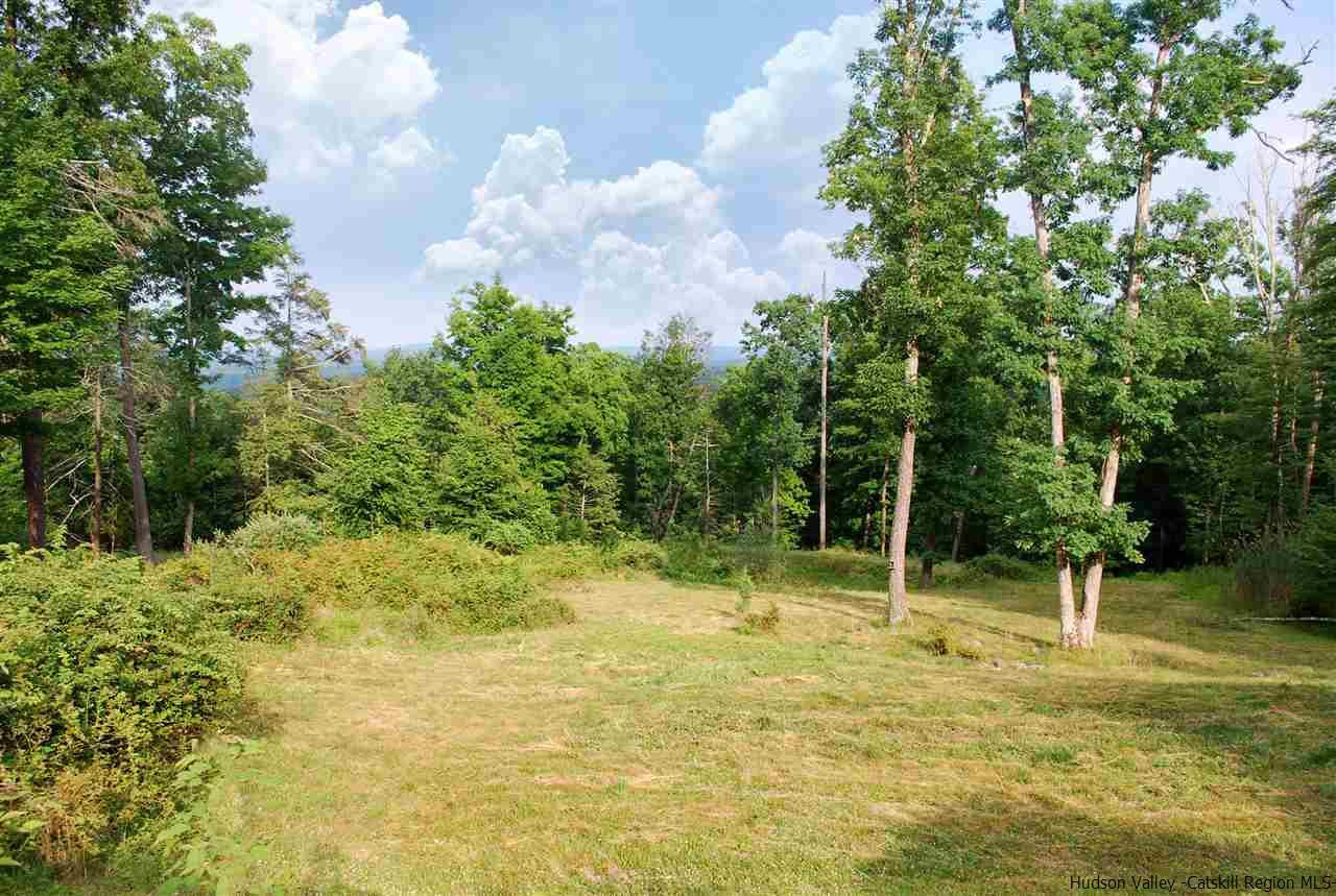 19 Deer Lane Stone Ridge, NY 12484 - Photo 9 of 30 Photo 9