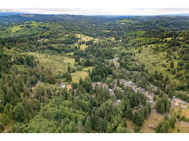 a view of a lush green forest with lush green forest