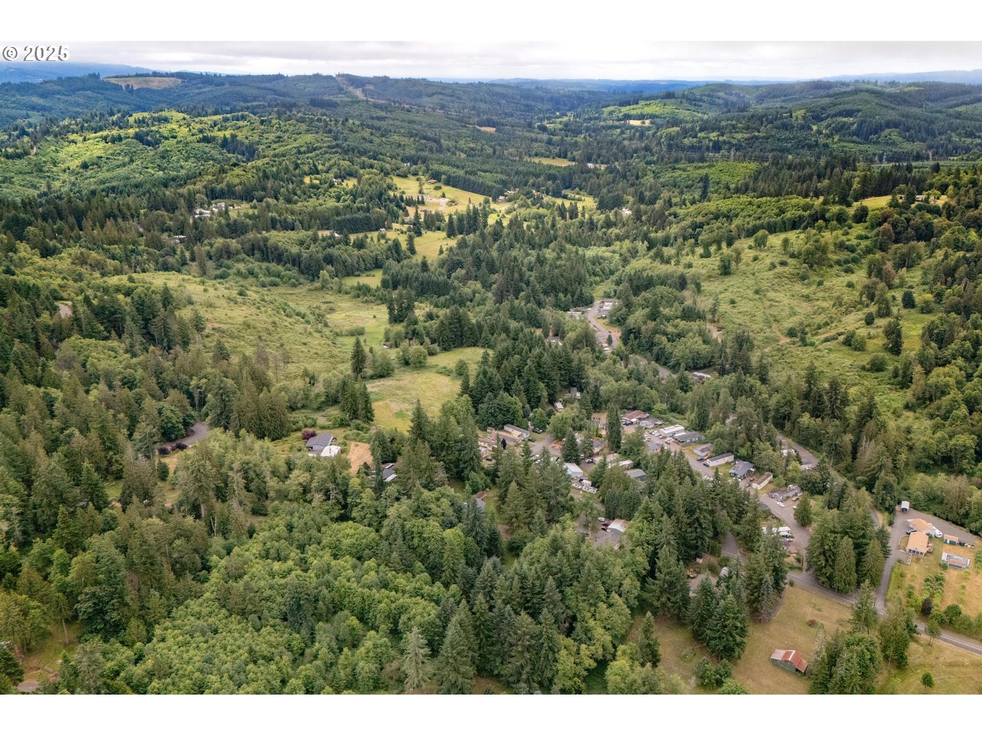 0 Hemlock Court Rainier, OR 97048 - Photo 3 of 9 a view of a lush green forest with lush green forest