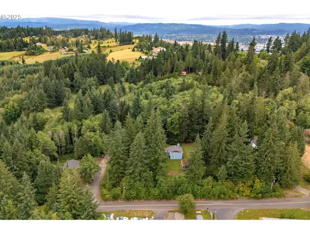 a view of a city with lush green forest