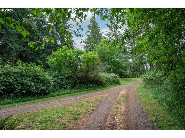 a view of a yard with a tree