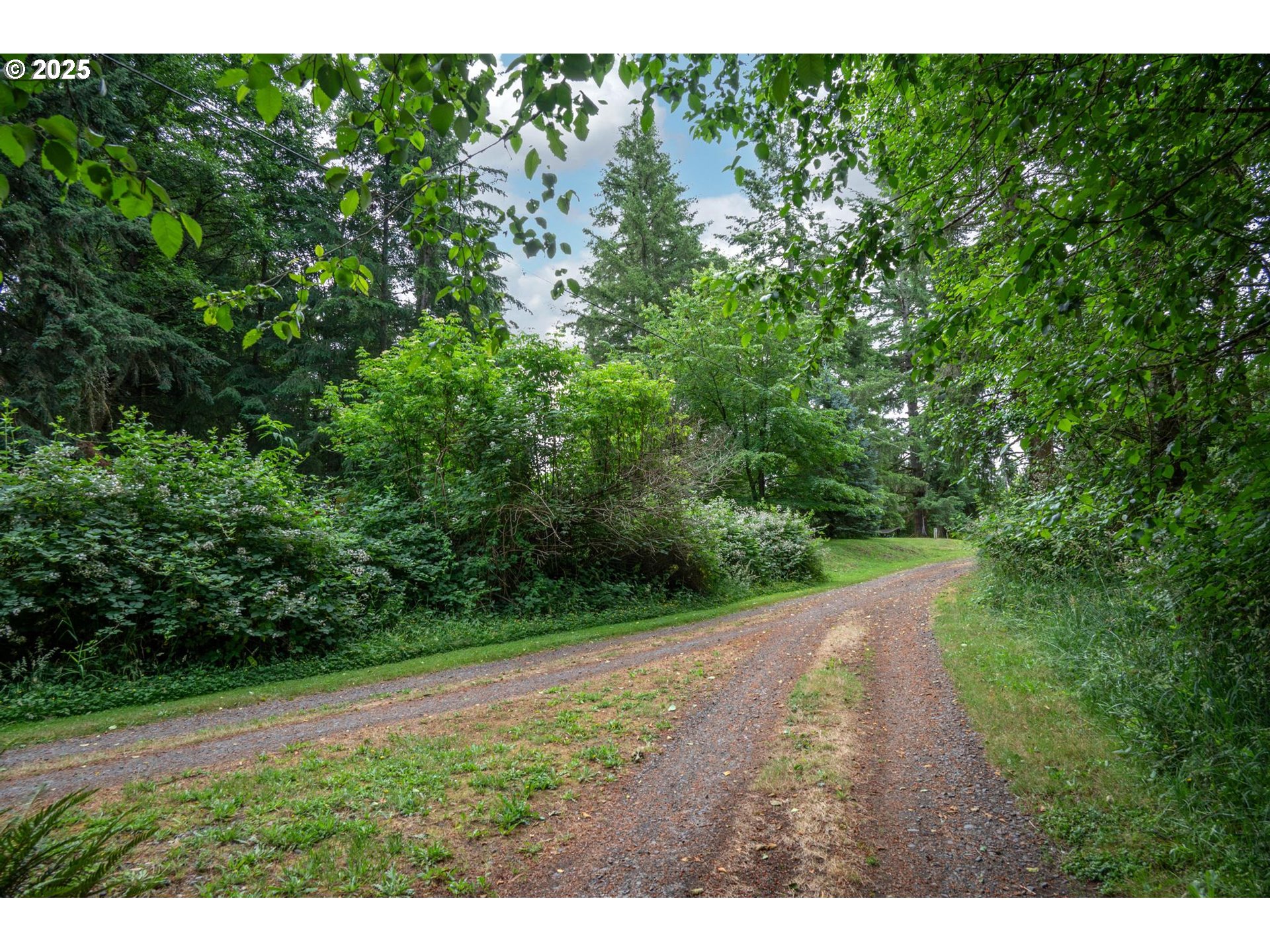 0 Hemlock Court Rainier, OR 97048 - Photo 6 of 9 a view of a yard with a tree