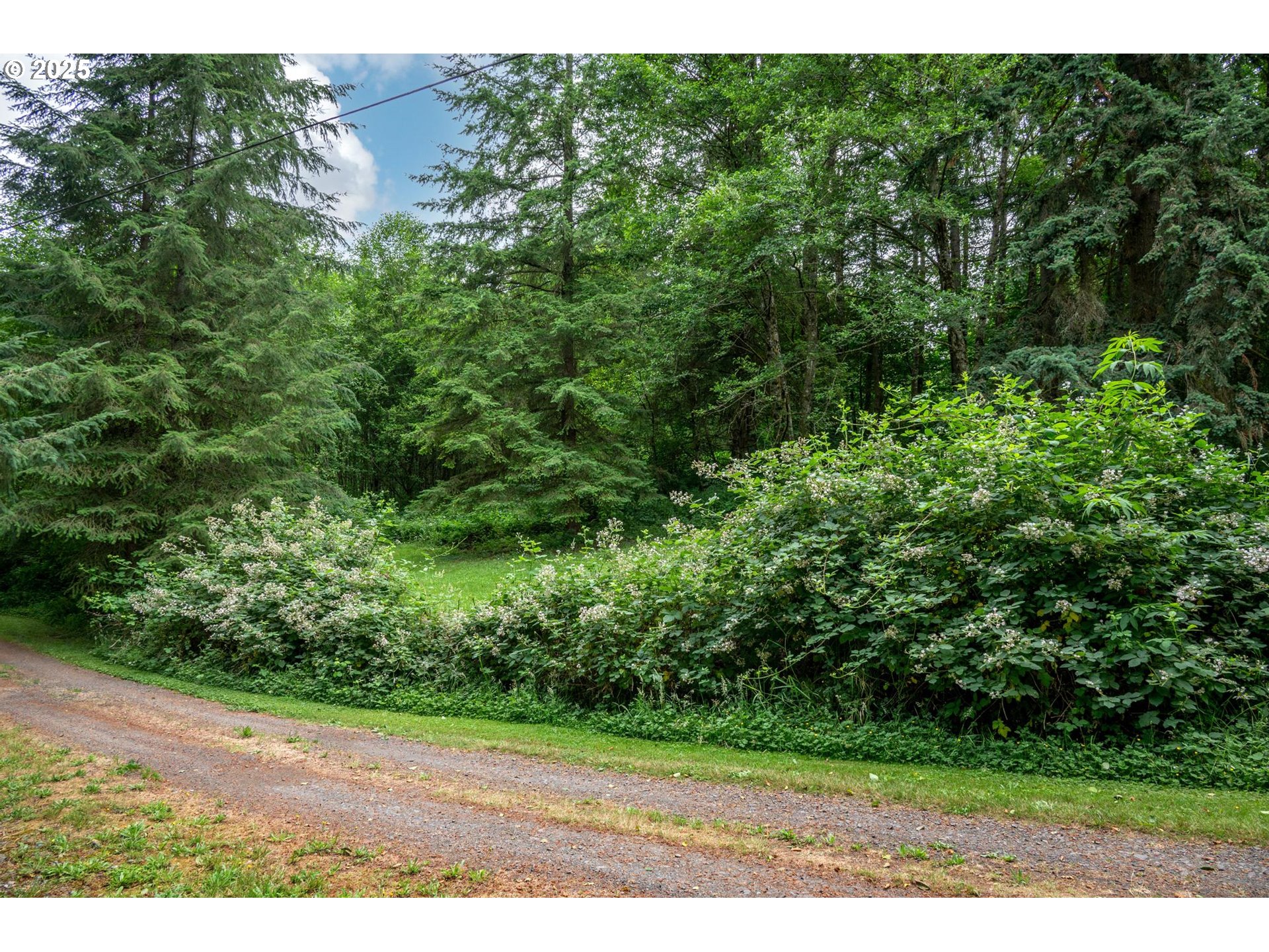 0 Hemlock Court Rainier, OR 97048 - Photo 7 of 9 a view of a yard with plants and a bench
