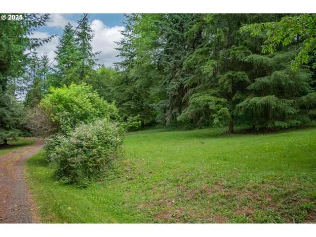 a view of an outdoor space and a yard