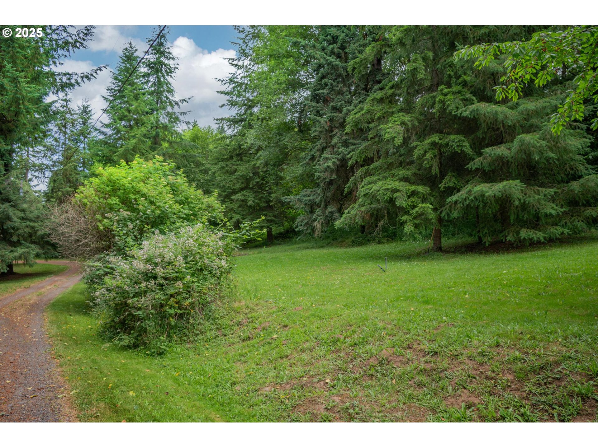 0 Hemlock Court Rainier, OR 97048 - Photo 8 of 9 a view of an outdoor space and a yard