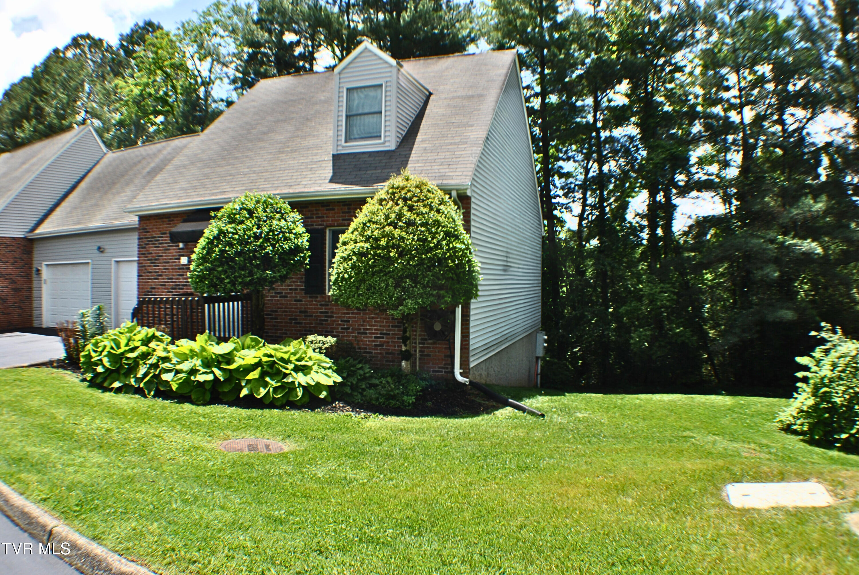 Side View