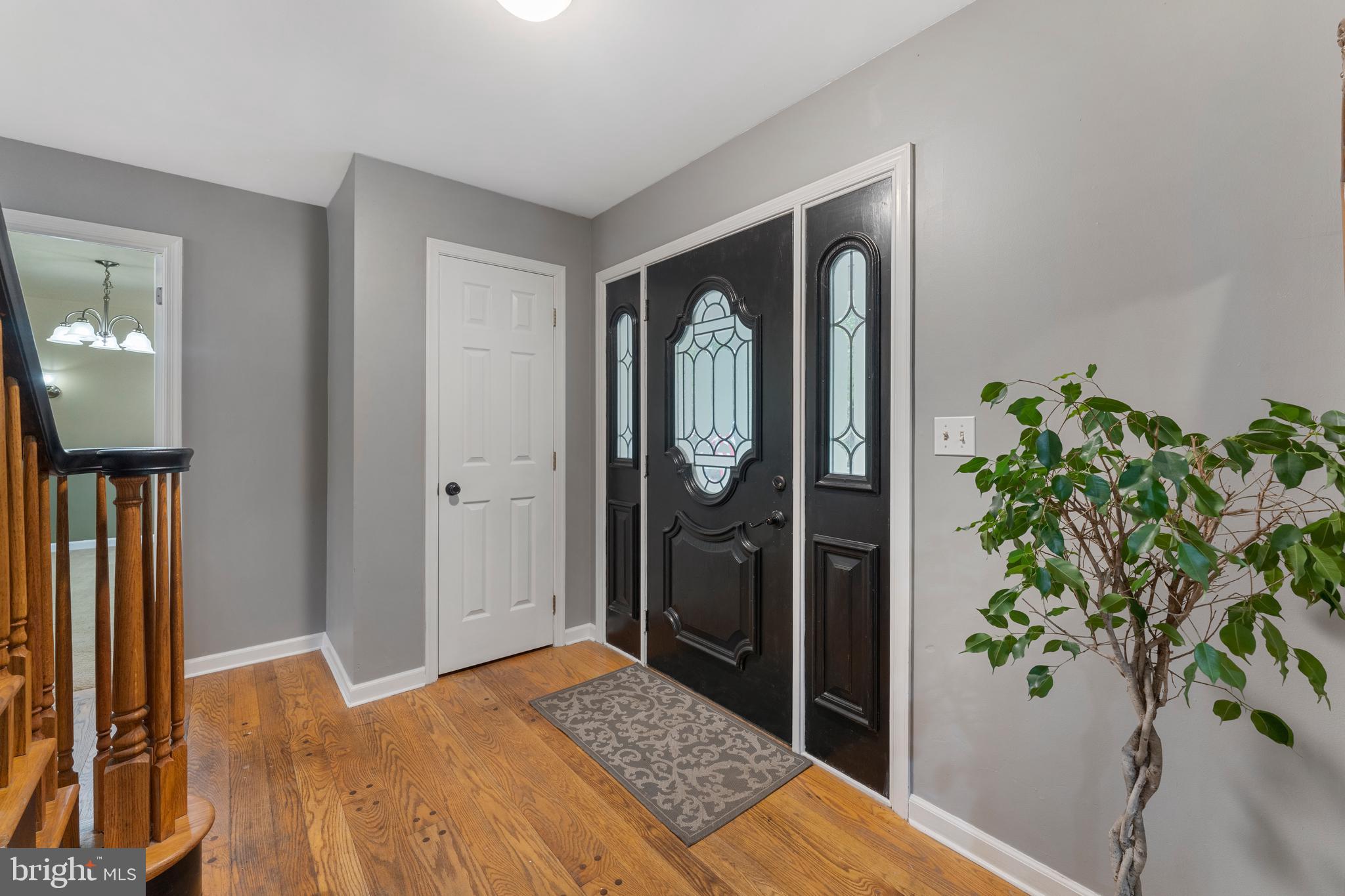 351 Walter Road Chalfont, PA 18914 - Photo 15 of 34 Gallery Image 15