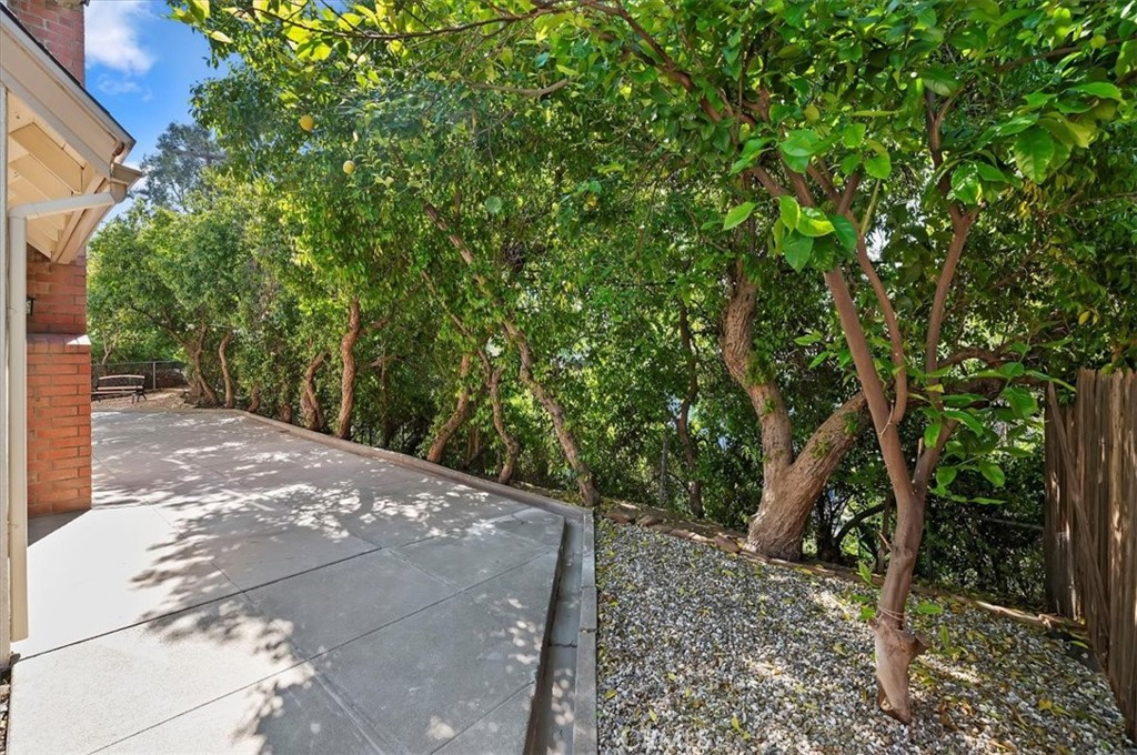 770 Libby Drive Riverside, CA 92507 - Photo 39 of 41 Backyard