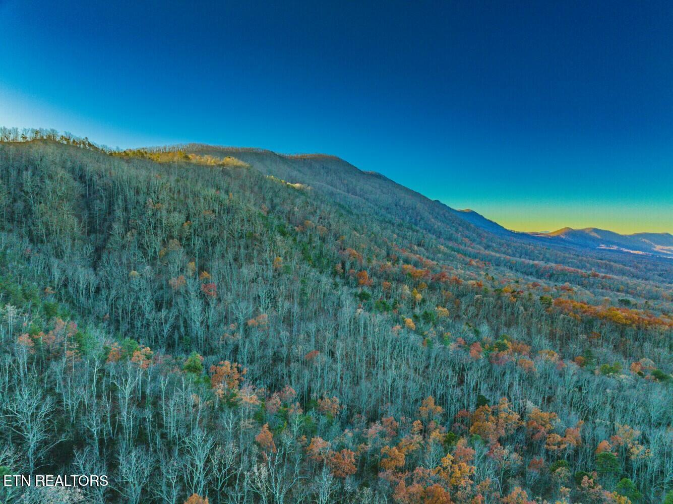 Seay Lane Dandridge, TN 37725 - Photo 21 of 58 tempImageH829yz