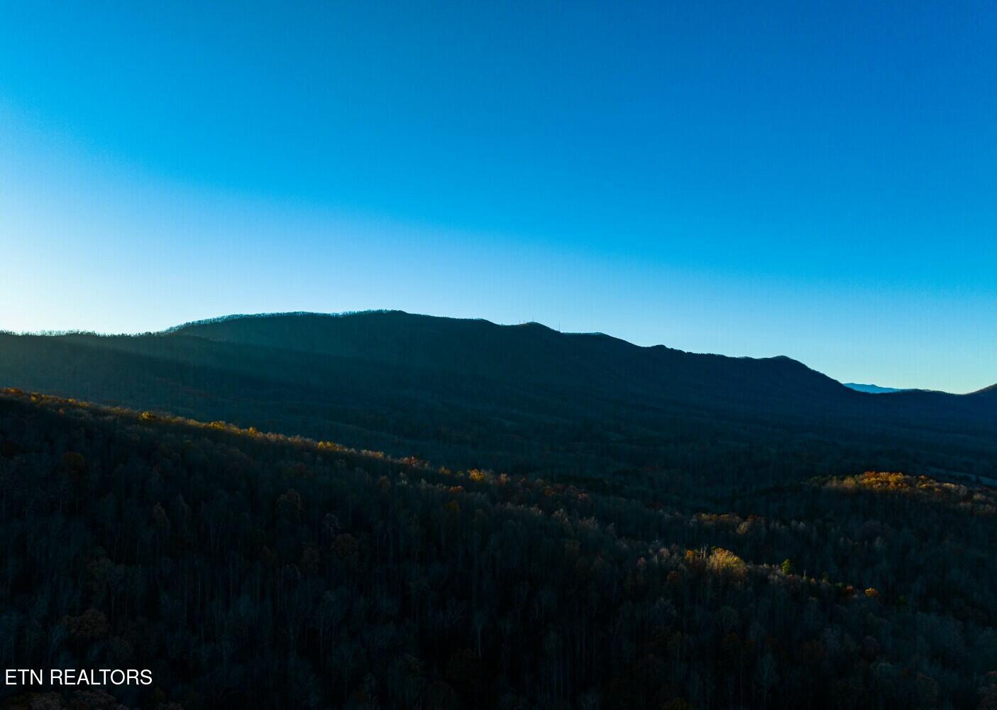 Seay Lane Dandridge, TN 37725 - Photo 22 of 58 tempImagegMO05d