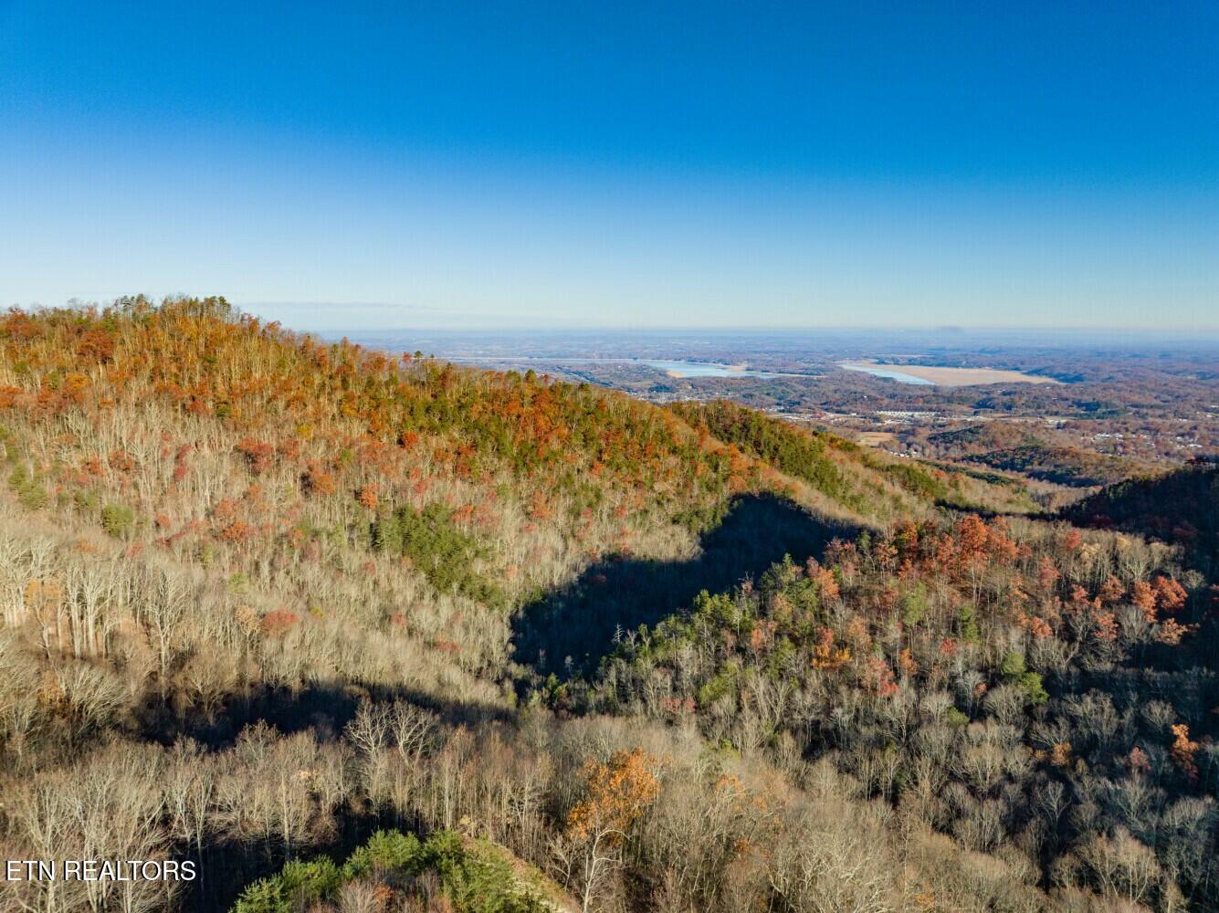 Seay Lane Dandridge, TN 37725 - Photo 25 of 58 tempImagePXVLTl