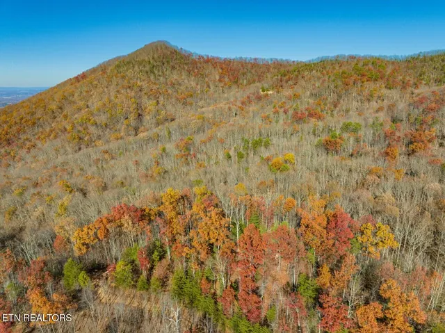 $21,000,000 | Seay Lane, Dandridge, TN 37725