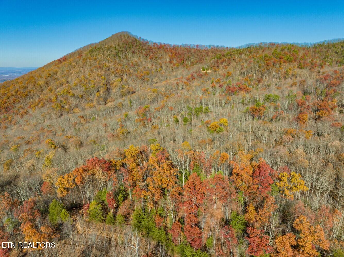 Seay Lane Dandridge, TN 37725 - Photo 26 of 58 tempImagehinuVm