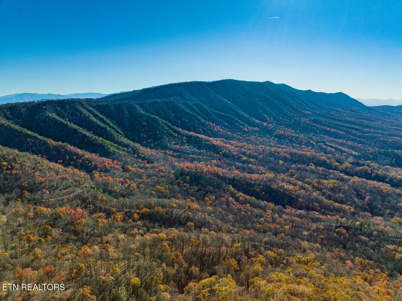 Seay Lane Dandridge, TN 37725 - Photo 27 of 58 tempImagenrLq82