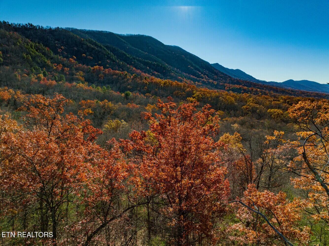 Seay Lane Dandridge, TN 37725 - Photo 29 of 58 tempImagevYtNK7