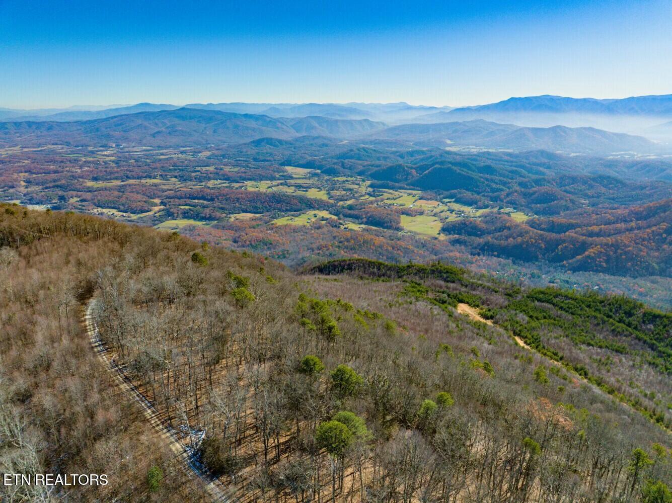 Seay Lane Dandridge, TN 37725 - Photo 3 of 58 tempImageMOVgUl