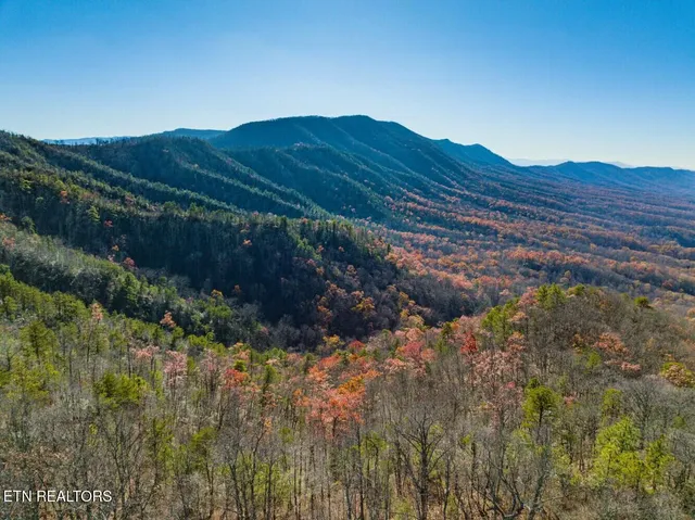 $21,000,000 | Seay Lane, Dandridge, TN 37725