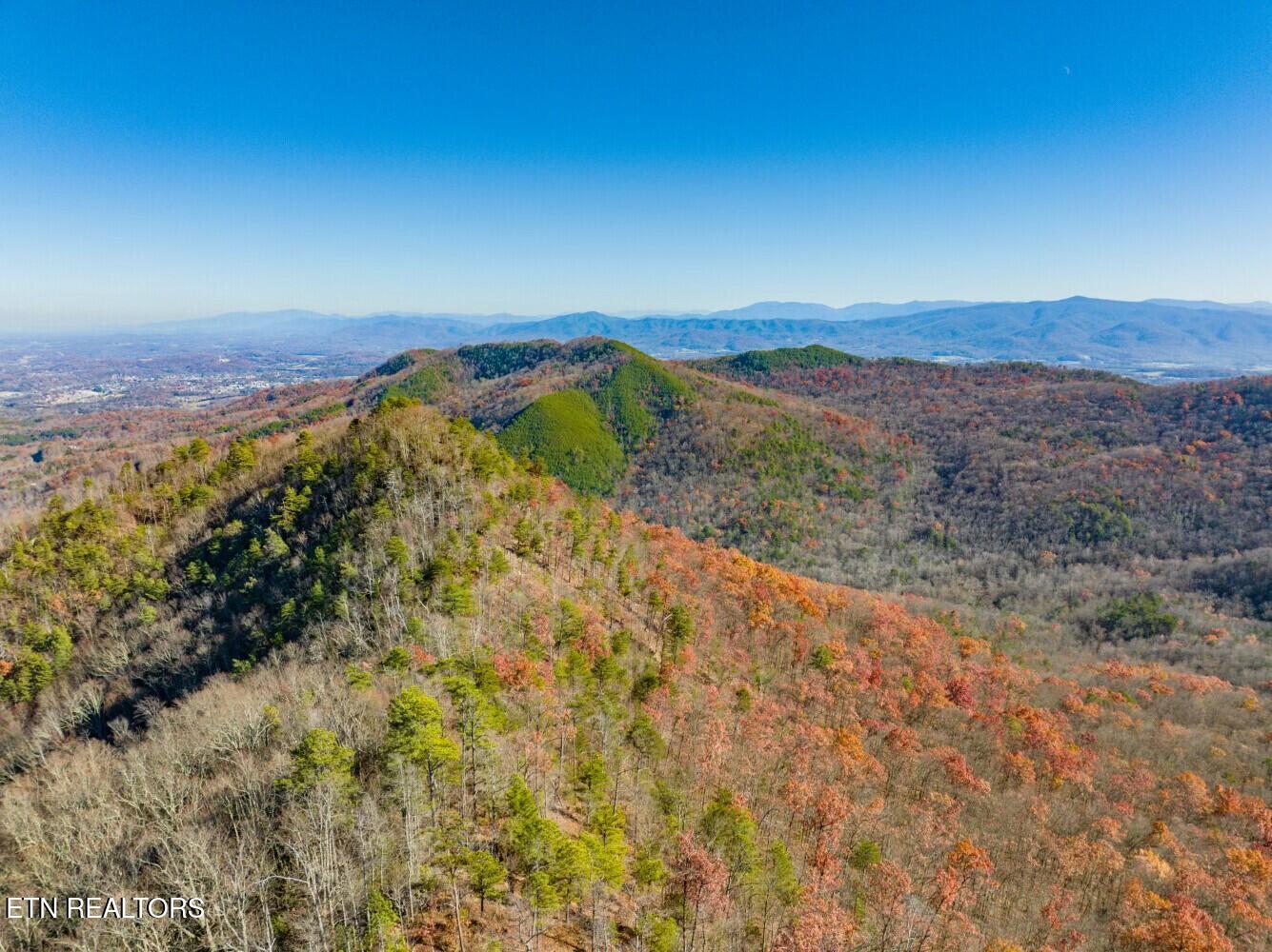 Seay Lane Dandridge, TN 37725 - Photo 32 of 58 tempImageHFhAOi