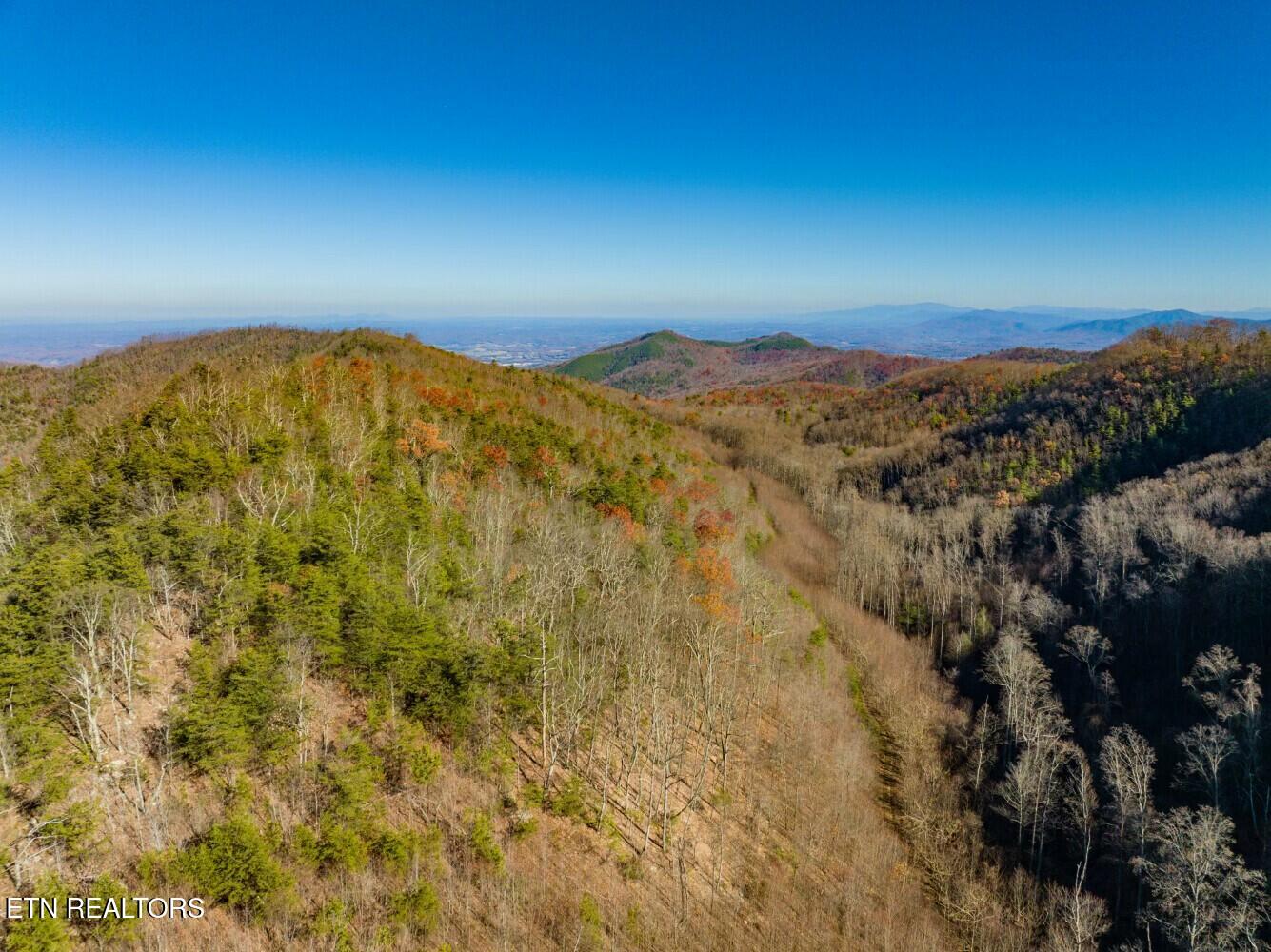 Seay Lane Dandridge, TN 37725 - Photo 37 of 58 tempImagetFPvgg