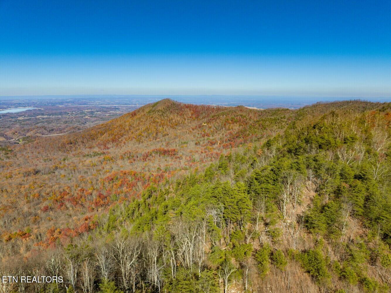 Seay Lane Dandridge, TN 37725 - Photo 38 of 58 tempImagerR2PKd