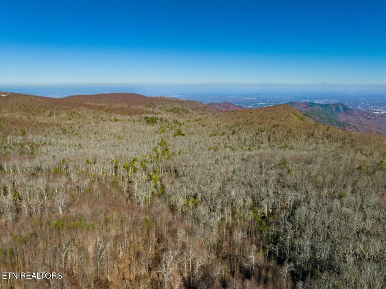 Seay Lane Dandridge, TN 37725 - Photo 40 of 58 tempImagewAhQzI