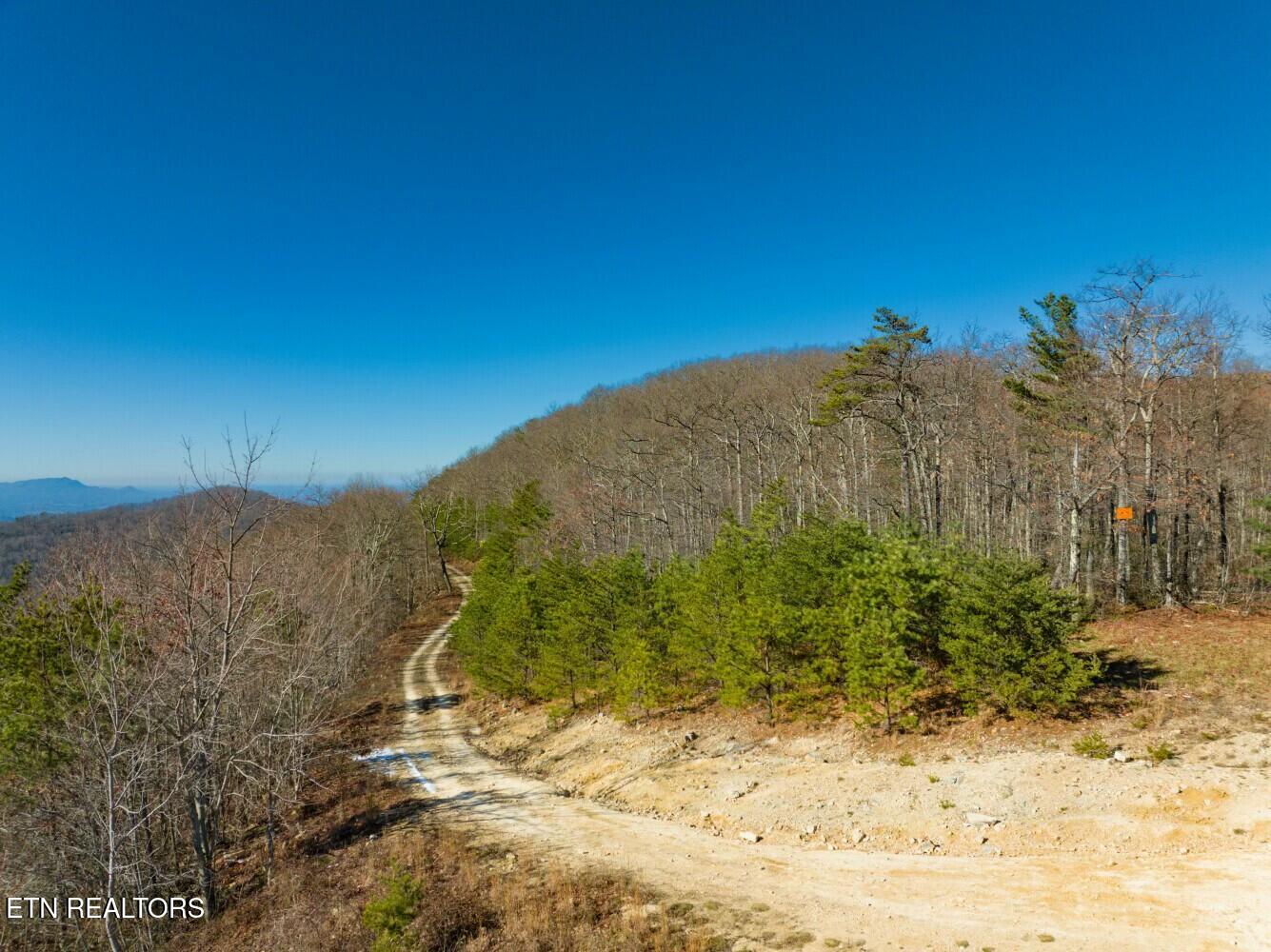 Seay Lane Dandridge, TN 37725 - Photo 44 of 58 tempImagevmzz2E