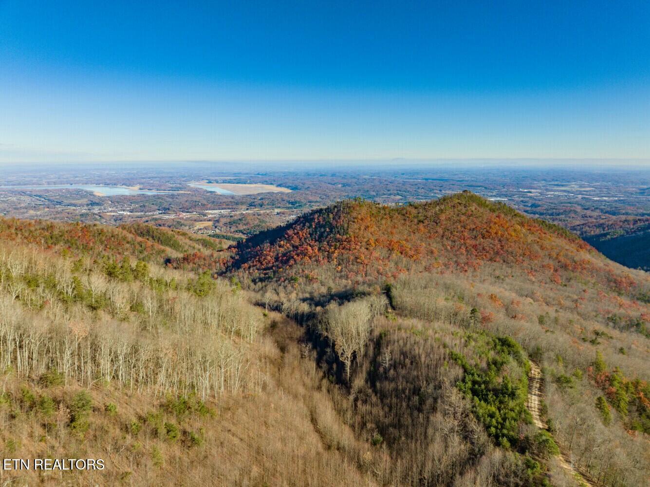 Seay Lane Dandridge, TN 37725 - Photo 57 of 58 tempImagefXVhII