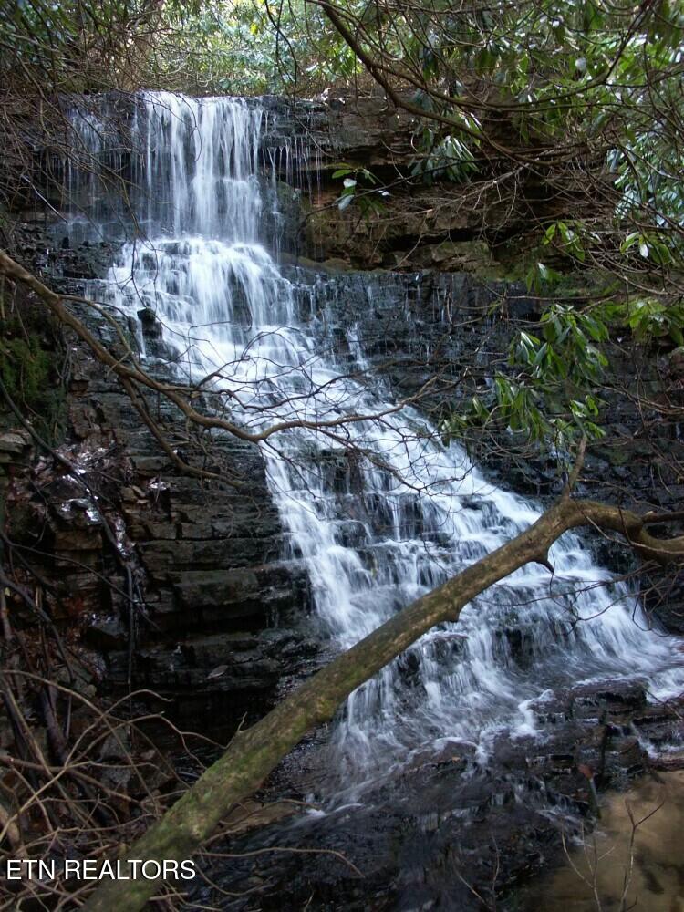 Seay Lane Dandridge, TN 37725 - Photo 58 of 58 tempImageBZmcAk