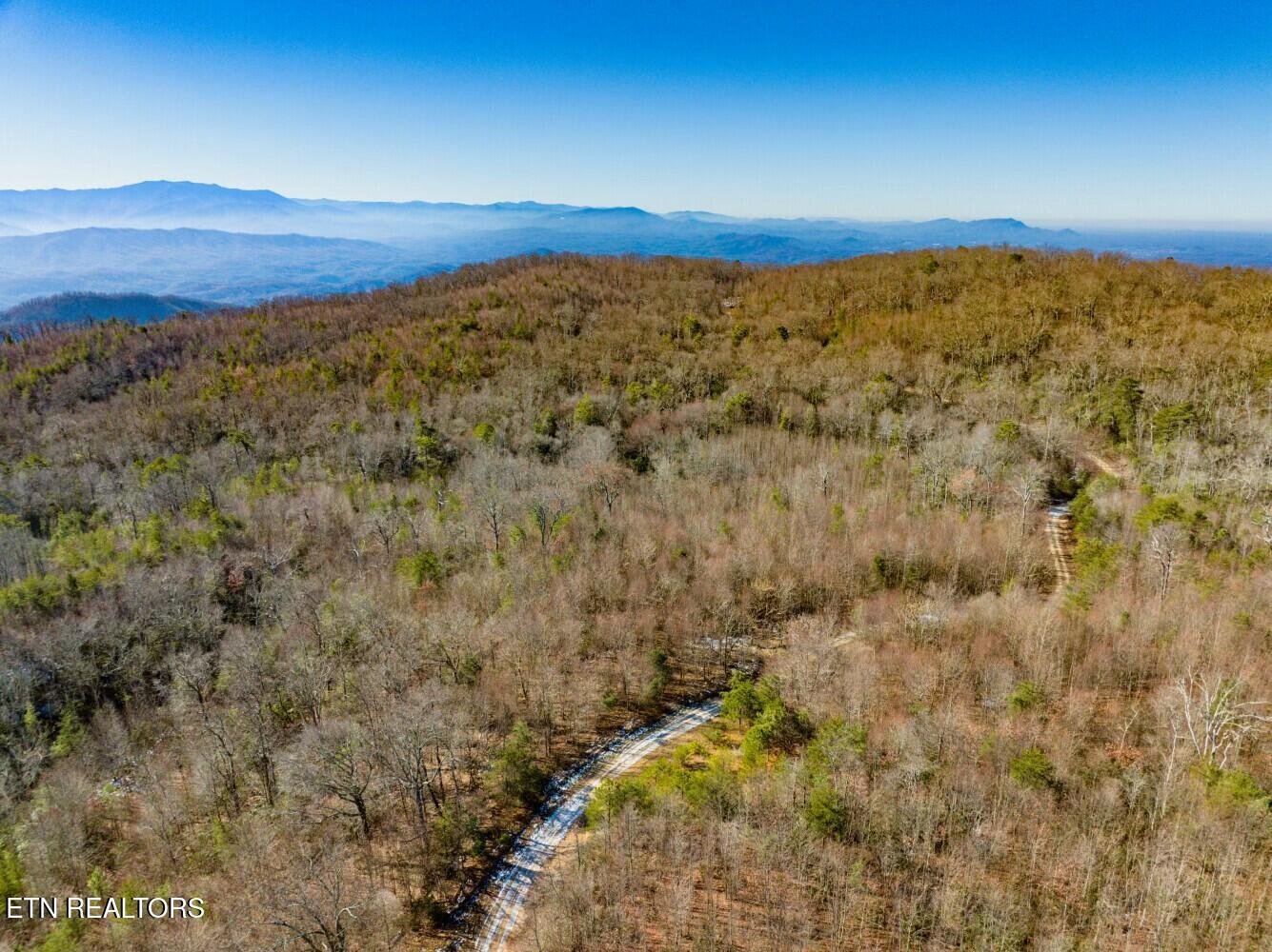 Seay Lane Dandridge, TN 37725 - Photo 6 of 58 tempImageJgcHTl