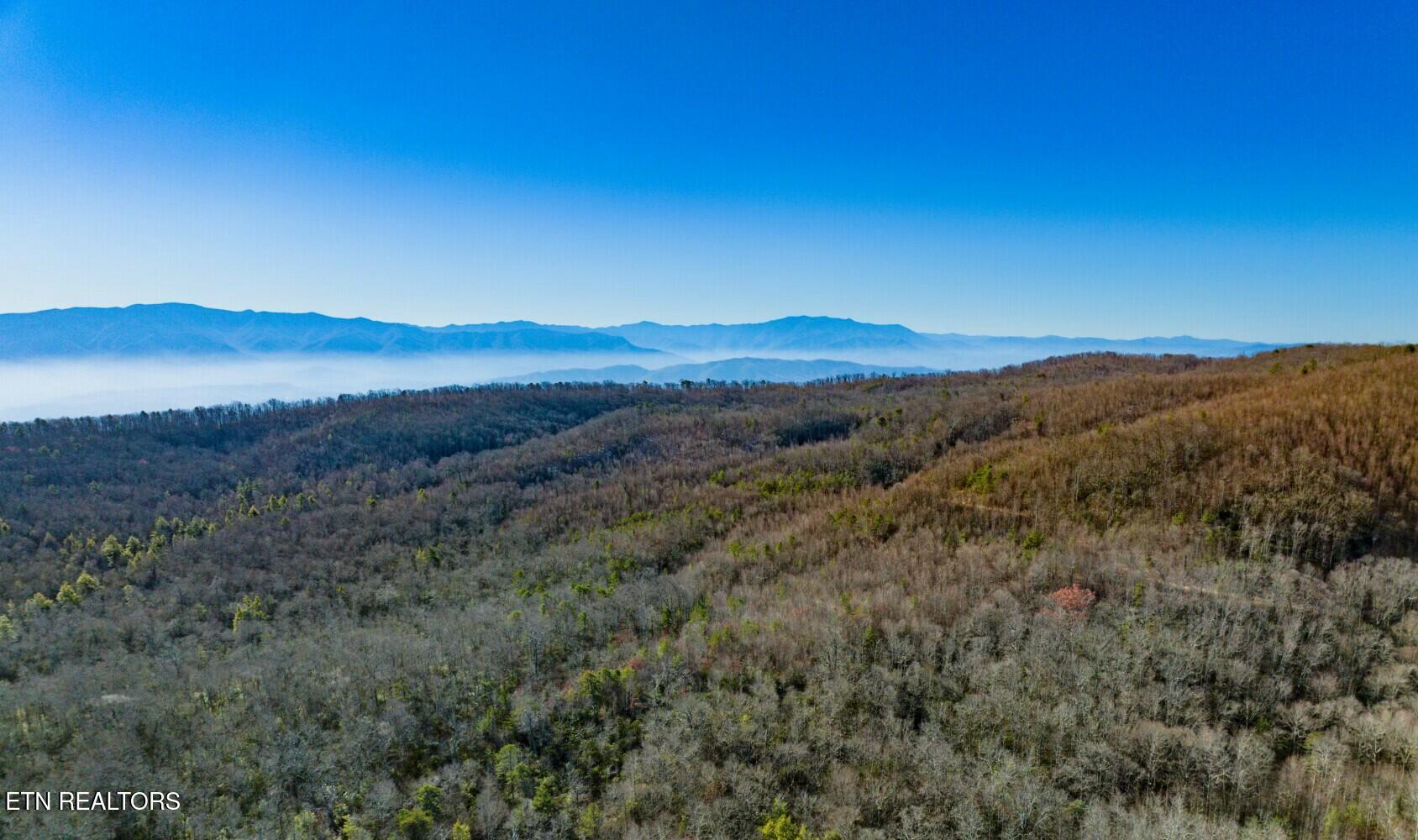 Seay Lane Dandridge, TN 37725 - Photo 7 of 58 tempImageZCdnGl