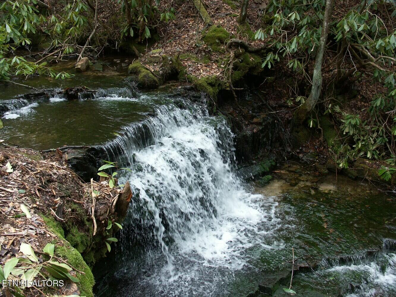 Seay Lane Dandridge, TN 37725 - Photo 10 of 58 tempImageohXxmf