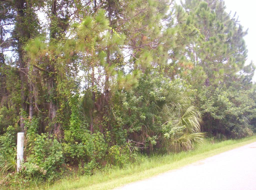 12510 Patsy Avenue Port Charlotte, FL 33981 - Photo 1 of 1 Gallery Image 1