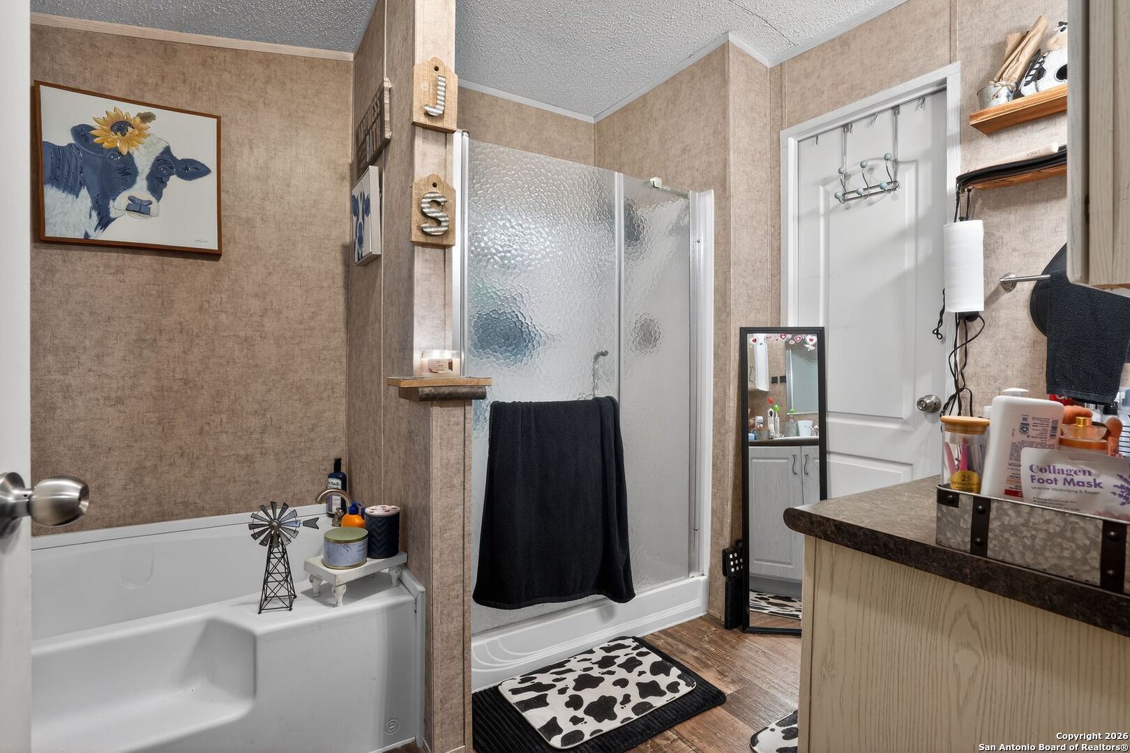 110 Old Street Seguin, TX 78155 - Photo 13 of 27 a bathroom with a sink a mirror and a shower