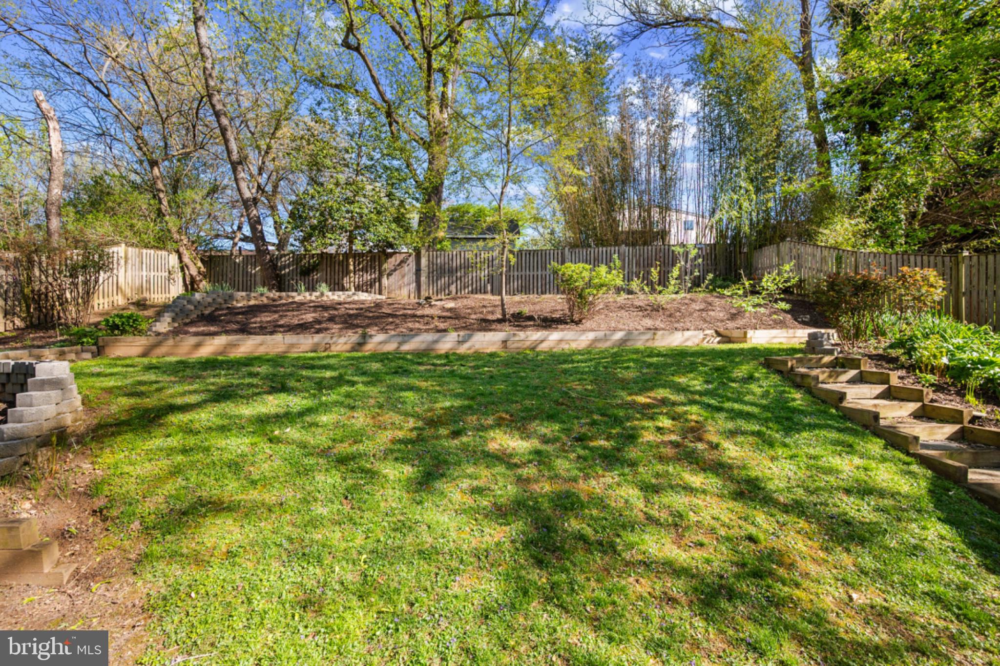 1001 Robin Road Silver Spring, MD 20901 - Photo 34 of 46 Lush backyard oasis with serene greenery.