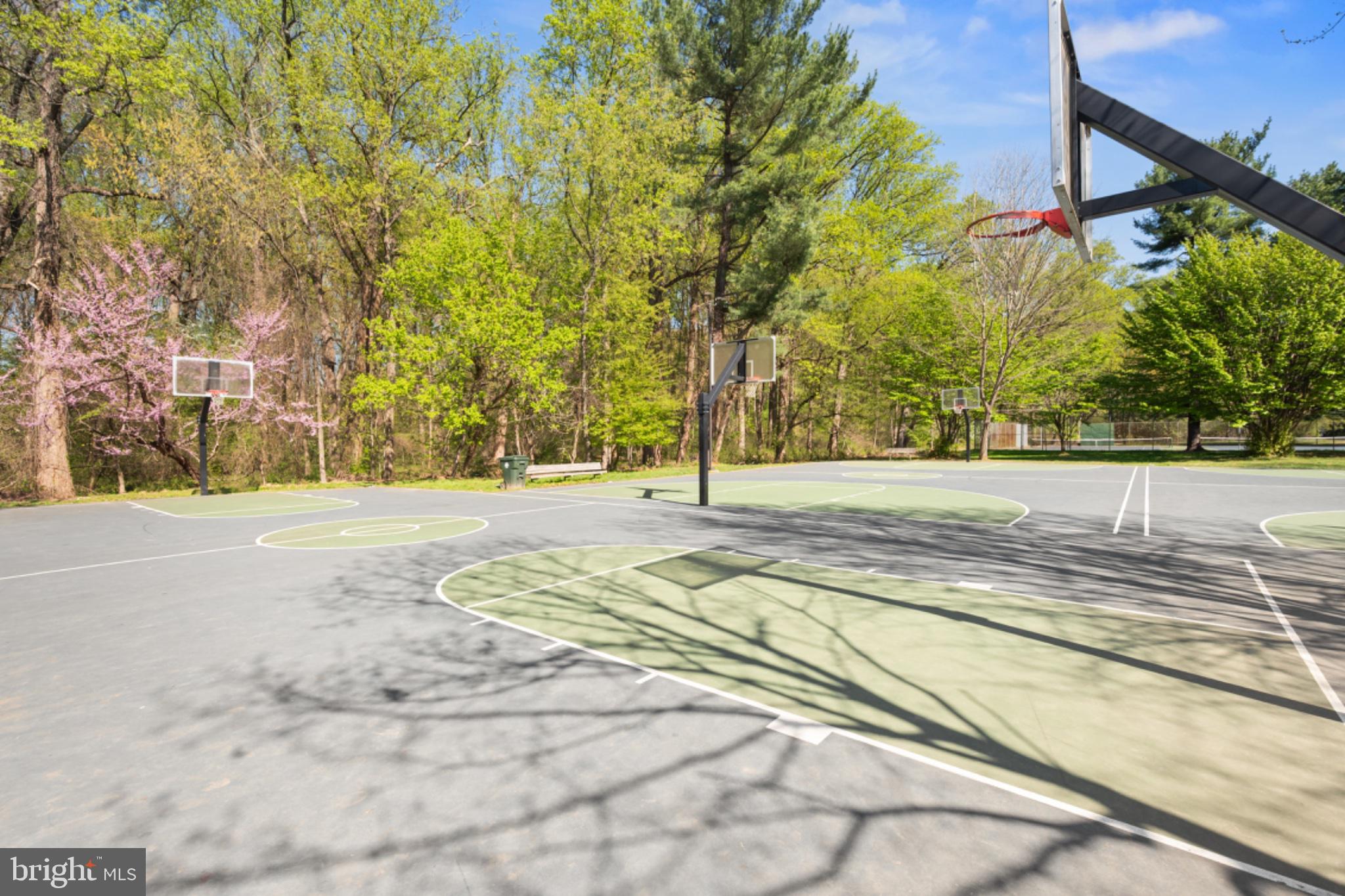 1001 Robin Road Silver Spring, MD 20901 - Photo 40 of 46 Sunlit court amidst vibrant greens.