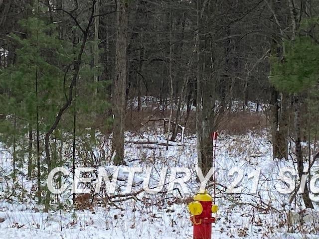 0 West Wackerly Road Sanford, MI 48657 - Photo 1 of 19