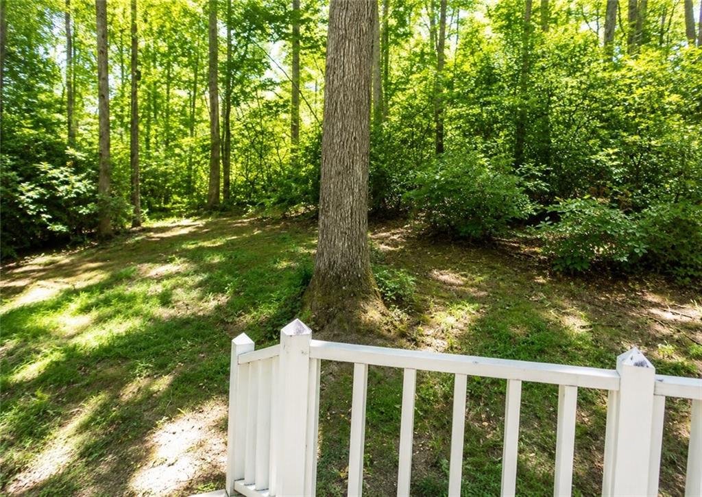 1774 Joe Black Road Sautee Nacoochee, GA 30571 - Photo 17 of 17