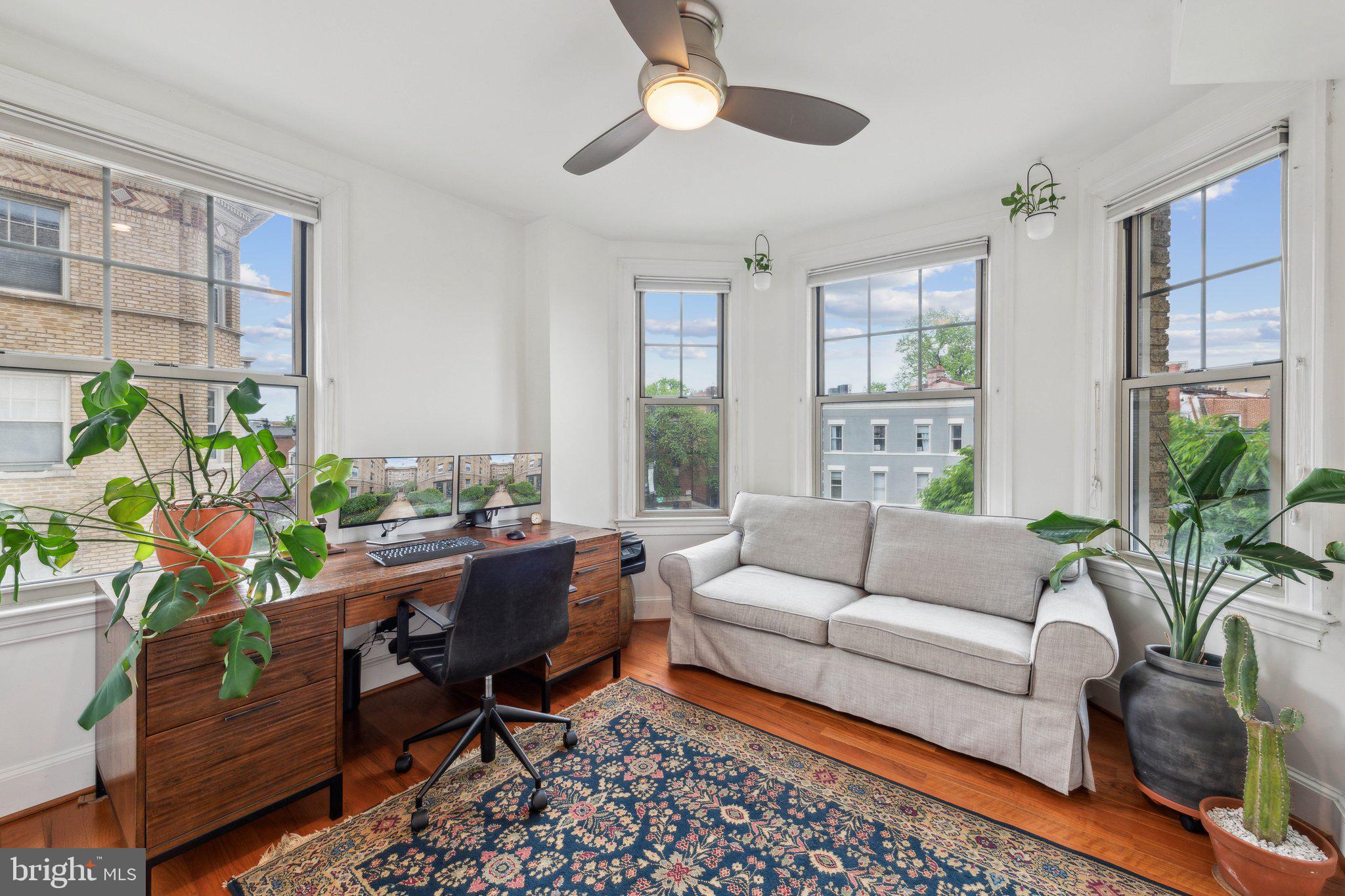 3220 17th Street Northwest, Unit 309 Washington, DC 20010 - Photo 17 of 25 a living room with furniture and a potted plant