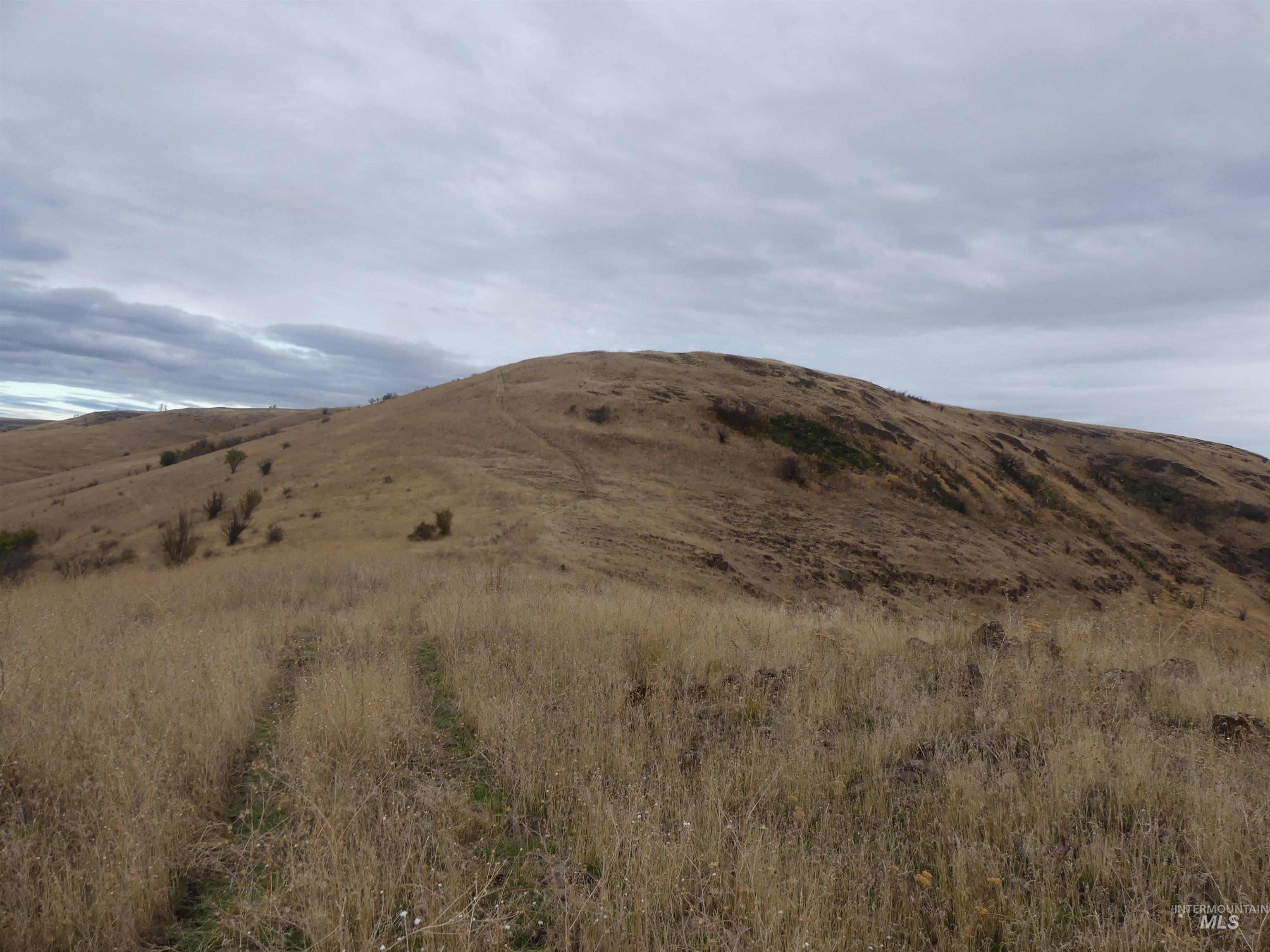 17550 Stoney Point Road Juliaetta, ID 83535 - Photo 13 of 37 View of mountain backdrop